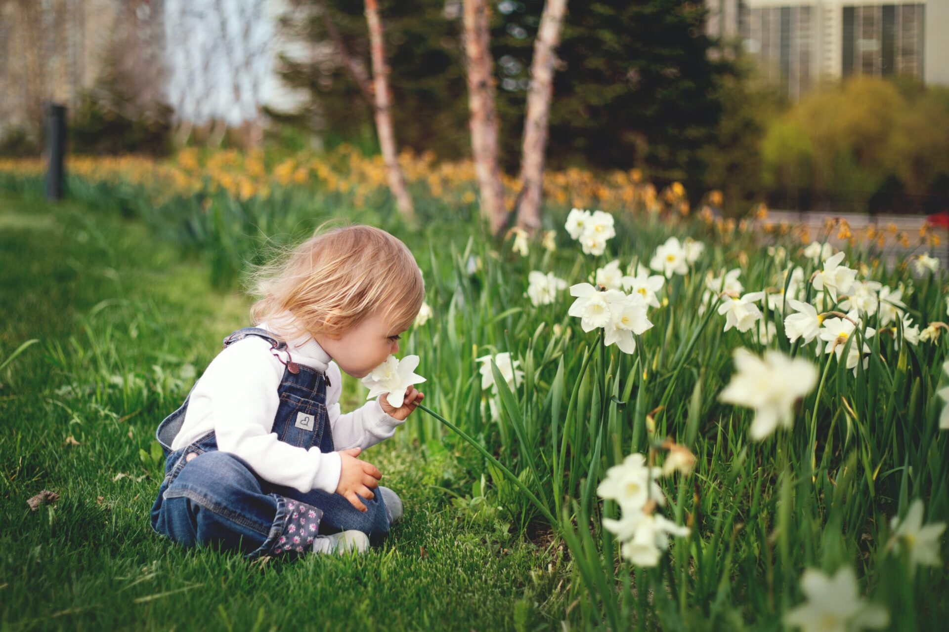 Photo by Tetyana Kovyrina: https://www.pexels.com/photo/girl-sitting-on-grass-smelling-white-petaled-flower-1879288/